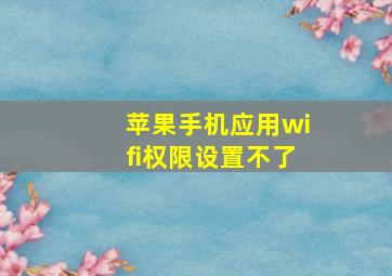 苹果手机应用wifi权限设置不了