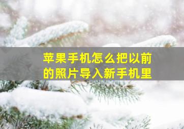 苹果手机怎么把以前的照片导入新手机里