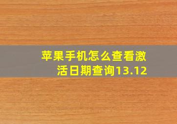 苹果手机怎么查看激活日期查询13.12