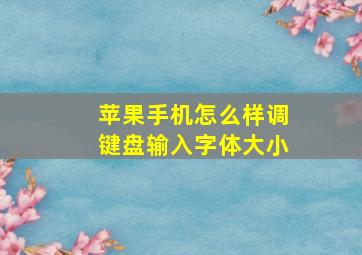 苹果手机怎么样调键盘输入字体大小