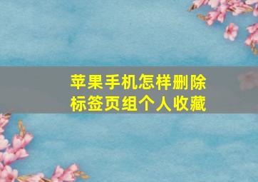 苹果手机怎样删除标签页组个人收藏