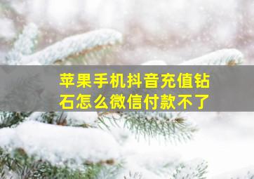 苹果手机抖音充值钻石怎么微信付款不了