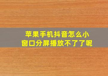 苹果手机抖音怎么小窗口分屏播放不了了呢