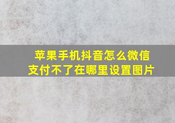 苹果手机抖音怎么微信支付不了在哪里设置图片