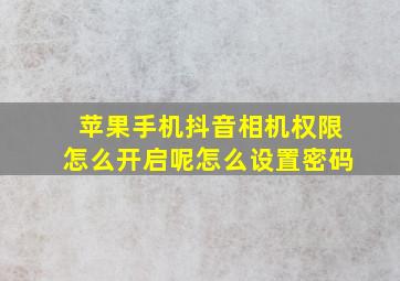 苹果手机抖音相机权限怎么开启呢怎么设置密码