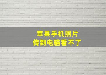 苹果手机照片传到电脑看不了