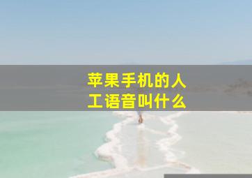 苹果手机的人工语音叫什么