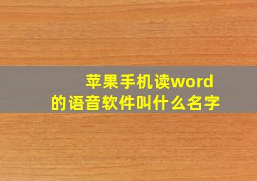 苹果手机读word的语音软件叫什么名字