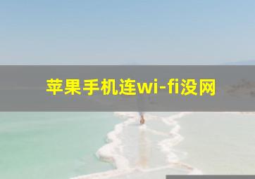 苹果手机连wi-fi没网