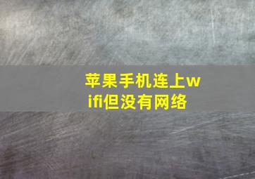 苹果手机连上wifi但没有网络