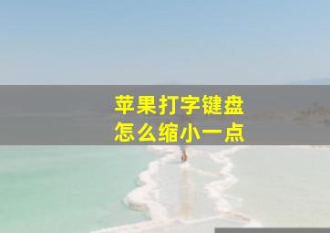 苹果打字键盘怎么缩小一点