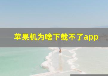 苹果机为啥下载不了app