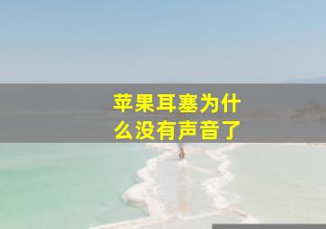 苹果耳塞为什么没有声音了