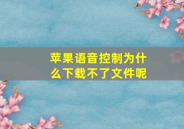 苹果语音控制为什么下载不了文件呢