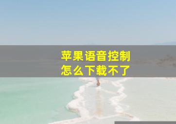 苹果语音控制怎么下载不了