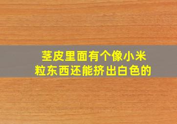 茎皮里面有个像小米粒东西还能挤出白色的