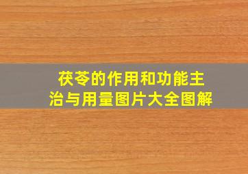 茯苓的作用和功能主治与用量图片大全图解