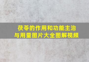 茯苓的作用和功能主治与用量图片大全图解视频