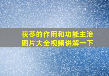 茯苓的作用和功能主治图片大全视频讲解一下