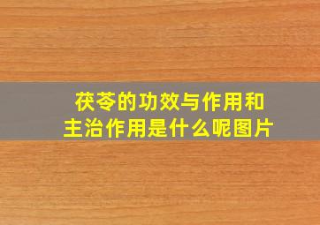 茯苓的功效与作用和主治作用是什么呢图片