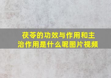 茯苓的功效与作用和主治作用是什么呢图片视频