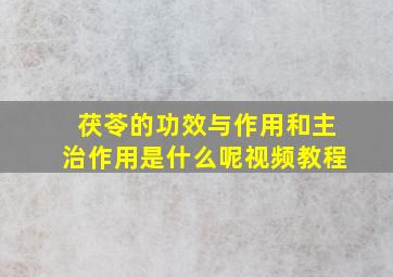 茯苓的功效与作用和主治作用是什么呢视频教程