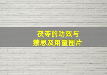 茯苓的功效与禁忌及用量图片