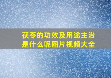 茯苓的功效及用途主治是什么呢图片视频大全