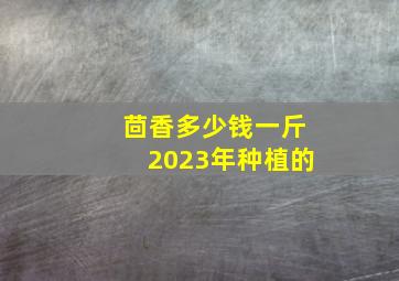 茴香多少钱一斤2023年种植的