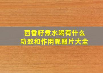 茴香籽煮水喝有什么功效和作用呢图片大全