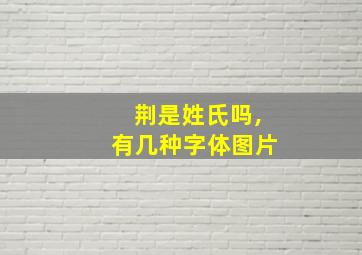 荆是姓氏吗,有几种字体图片