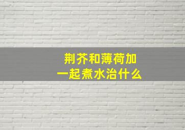 荆芥和薄荷加一起煮水治什么