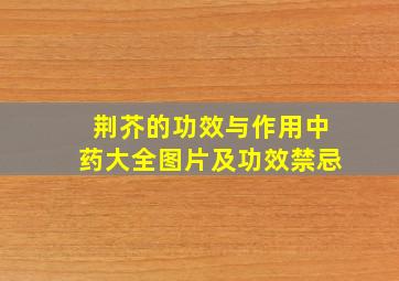 荆芥的功效与作用中药大全图片及功效禁忌