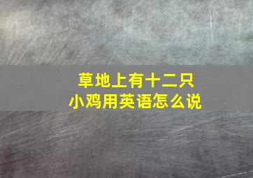 草地上有十二只小鸡用英语怎么说