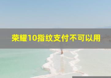 荣耀10指纹支付不可以用