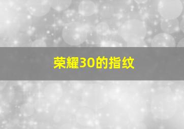 荣耀30的指纹