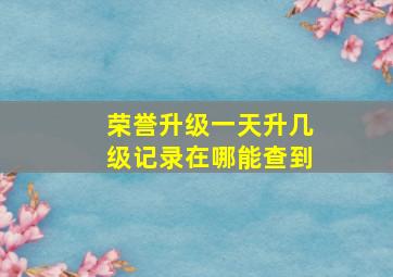 荣誉升级一天升几级记录在哪能查到