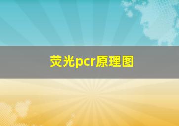 荧光pcr原理图