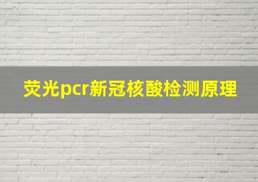 荧光pcr新冠核酸检测原理