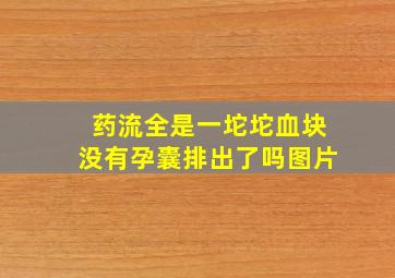 药流全是一坨坨血块没有孕囊排出了吗图片