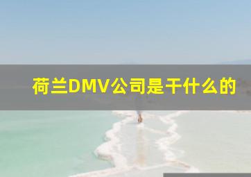 荷兰DMV公司是干什么的