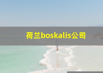 荷兰boskalis公司