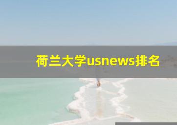 荷兰大学usnews排名