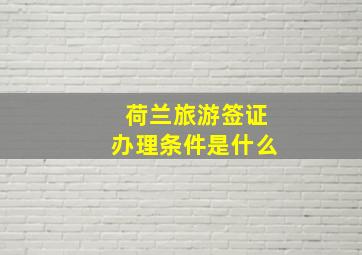 荷兰旅游签证办理条件是什么