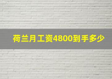 荷兰月工资4800到手多少