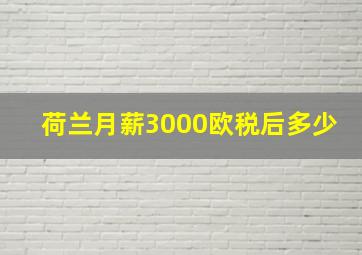 荷兰月薪3000欧税后多少