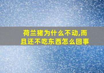 荷兰猪为什么不动,而且还不吃东西怎么回事