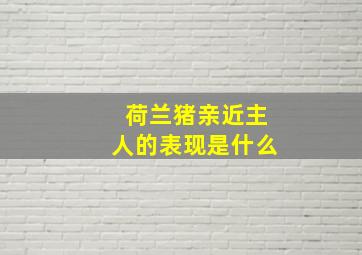 荷兰猪亲近主人的表现是什么