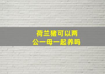 荷兰猪可以两公一母一起养吗