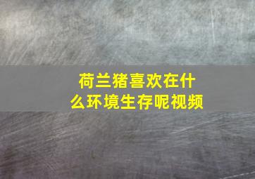 荷兰猪喜欢在什么环境生存呢视频